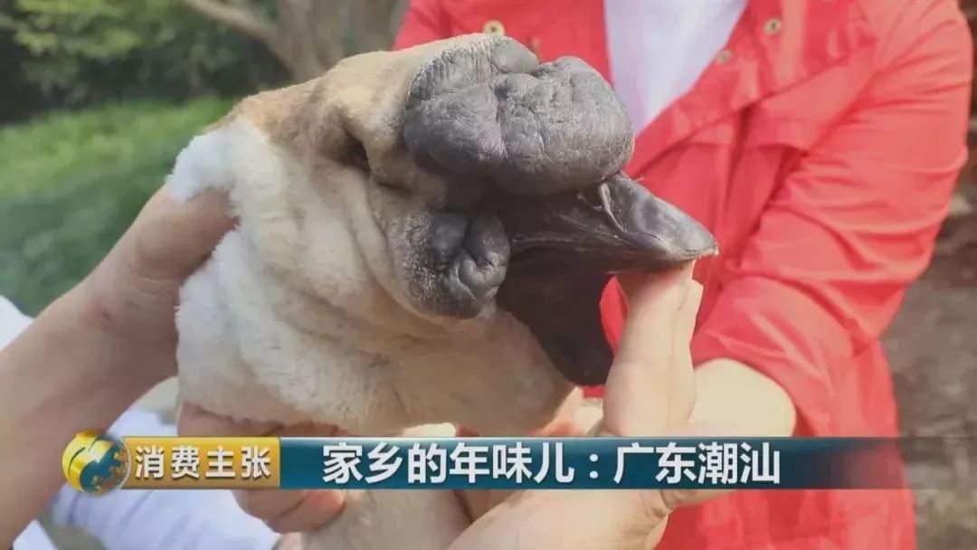 福建美食潮汕地区介绍_福建潮汕地区美食_福建美食潮汕地区图片